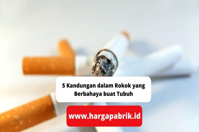 5 Kandungan Dalam Rokok Yang Berbahaya Buat Tubuh 5 Kandungan Dalam Rokok Yang Berbahaya Buat Tubuh